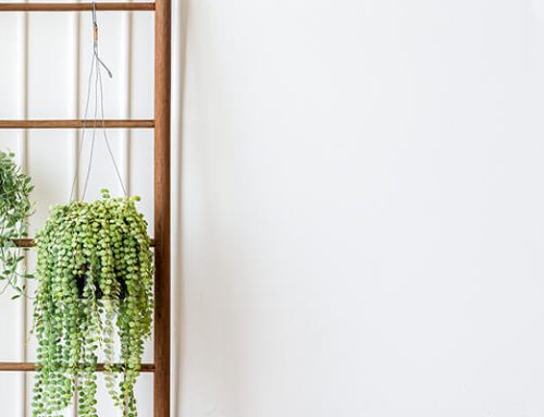 Ladder Decoration Ideas