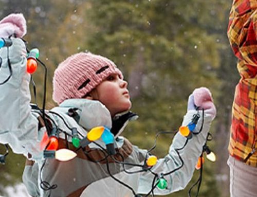 Choose the Right Ladder for Your Decorations