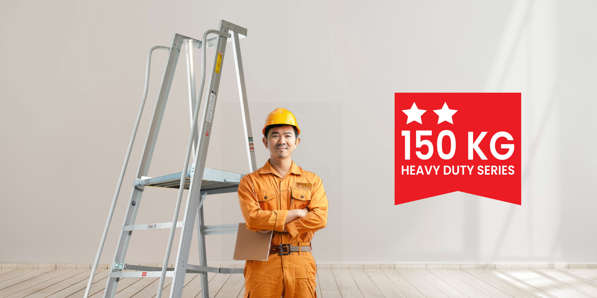 platform trolley ladder