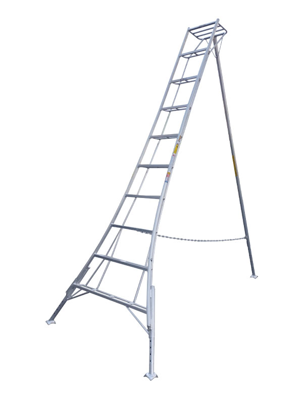 Tripod Harvesting Ladder