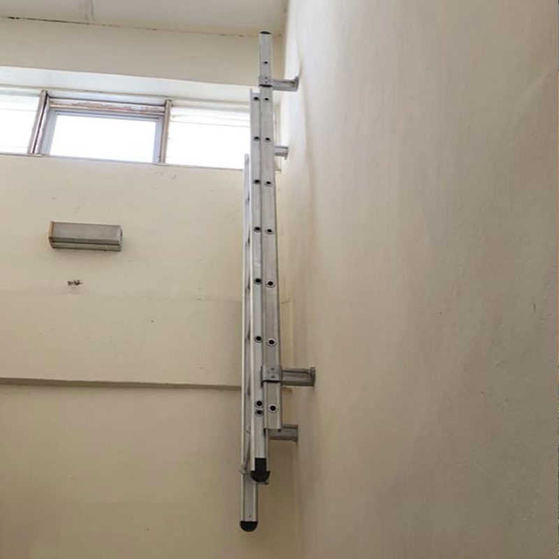 Retractable-Cat-Ladder