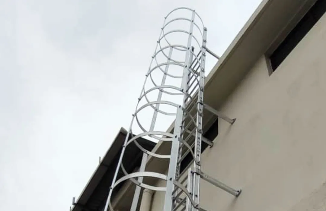 Cat Ladder Cat Ladder