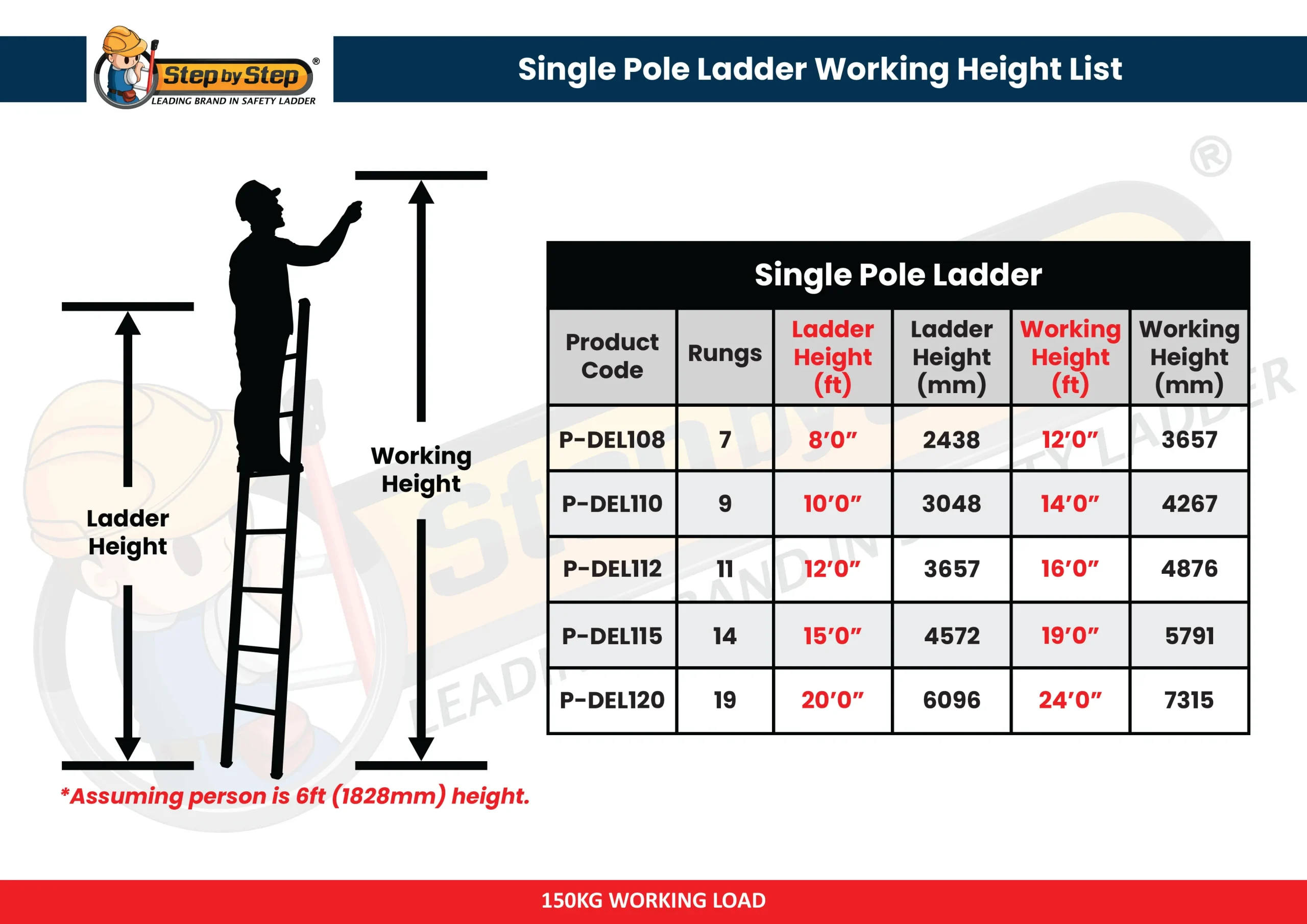 Extension Ladder Extension Ladder