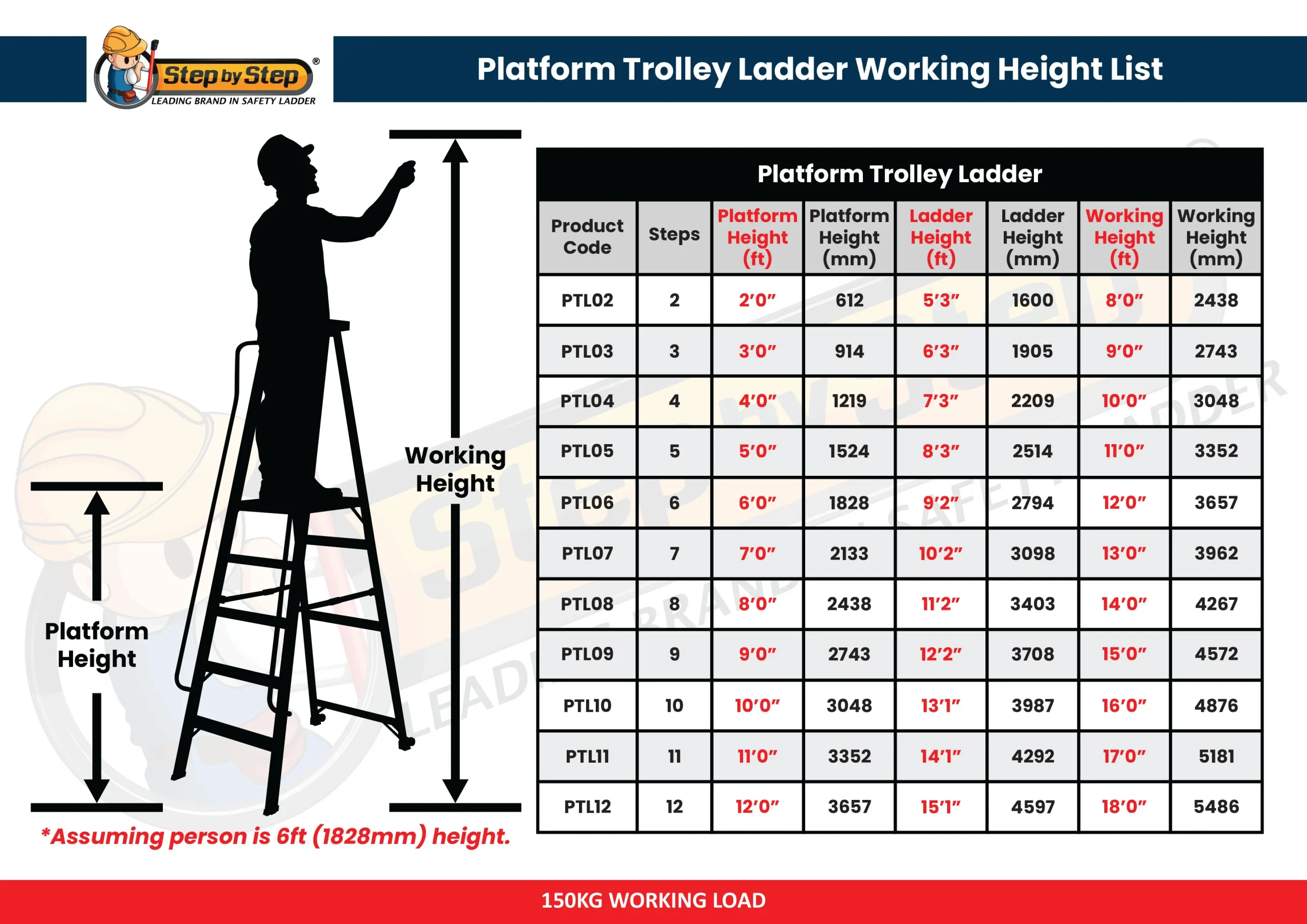 Platform Ladder Platform Ladder