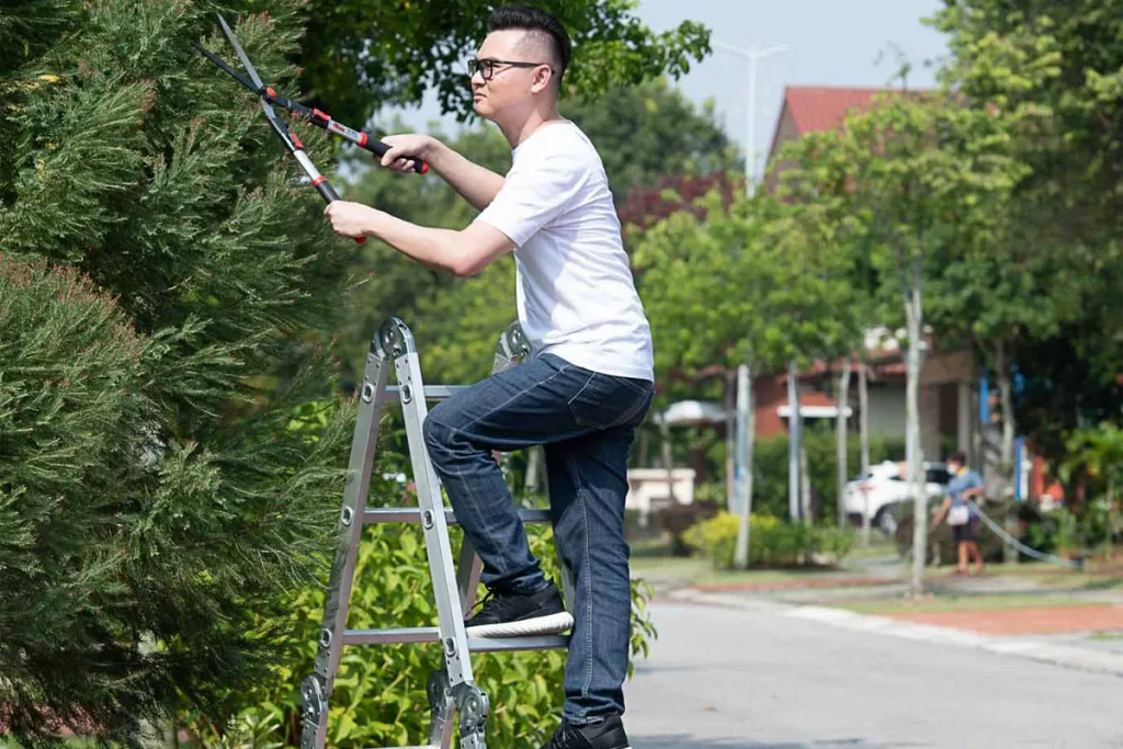 Safety Ladder for Every Household Task